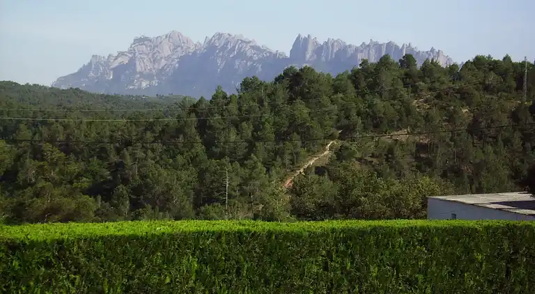 Hytte i Sant Salvador de Guardiola