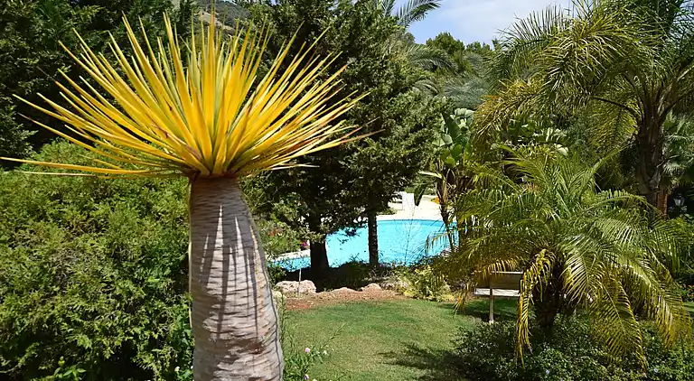 Apartment in Alhaurín el Grande