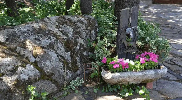 Cottage in Galapagar