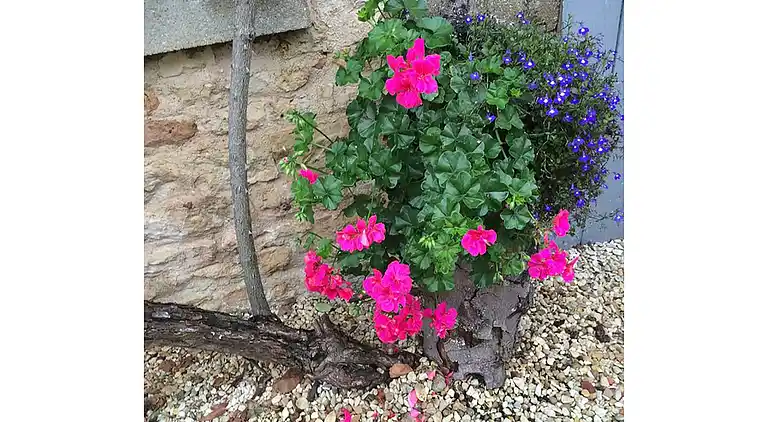 Vakantiehuis in La Forêt-de-Tessé