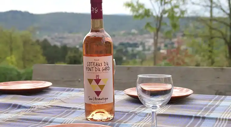 Villa in Southern France