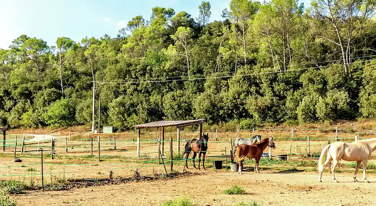 Villa in Saint-Antonin-du-Var