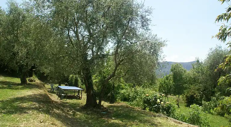 Vakantiehuis in Contes