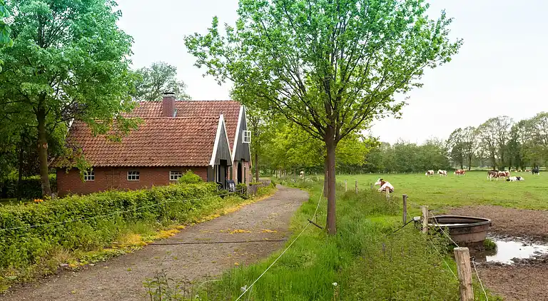 Boerderij in Twekkelo