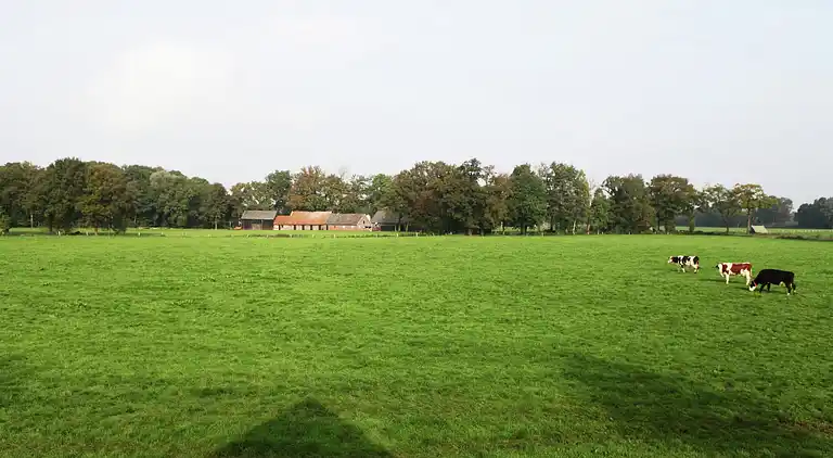 Appartement in Twekkelo