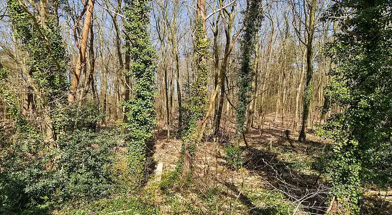 Vakantiehuis in Erm