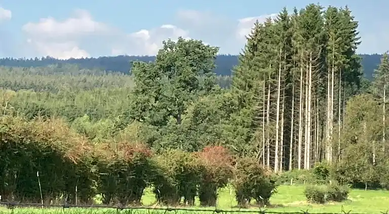 Herrgård i Kägsdorf