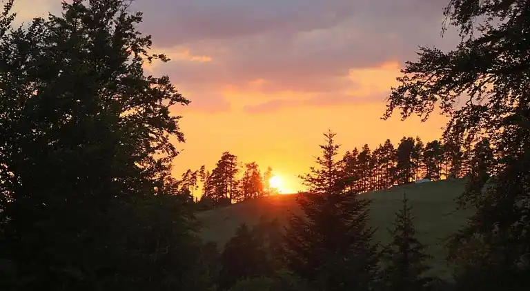 Ferienhaus in Langenschiltach