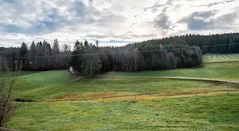 Ferienhaus in Langenschiltach