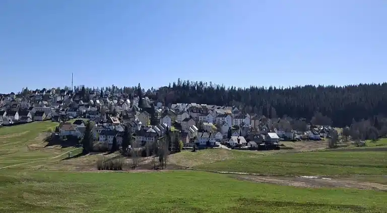 Ferienhaus in Langenschiltach
