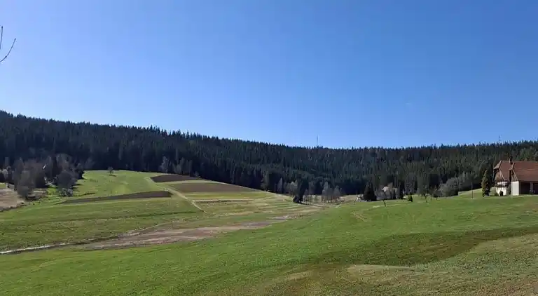 Ferienhaus in Langenschiltach