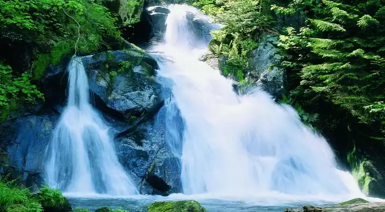 Ferienhaus in Langenschiltach