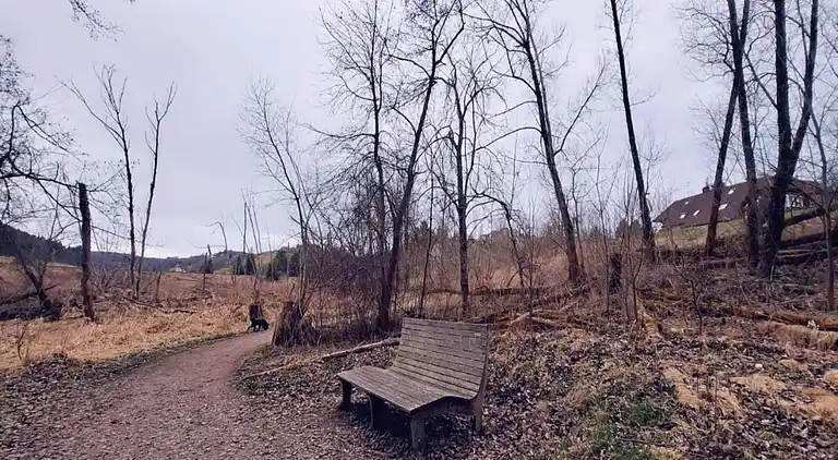Ferienhaus in Langenschiltach