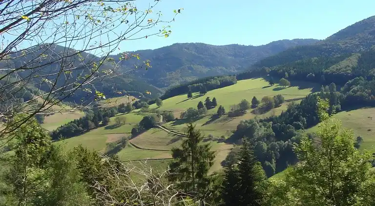Ferienhaus in Langenschiltach