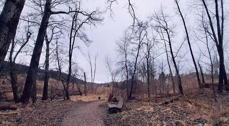 Ferienhaus in Langenschiltach