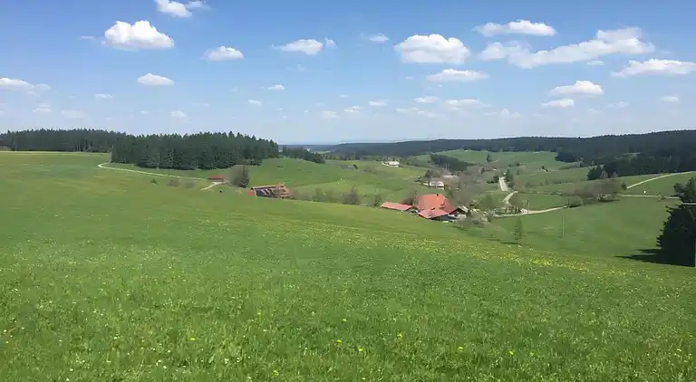 Ferienhaus in Langenschiltach