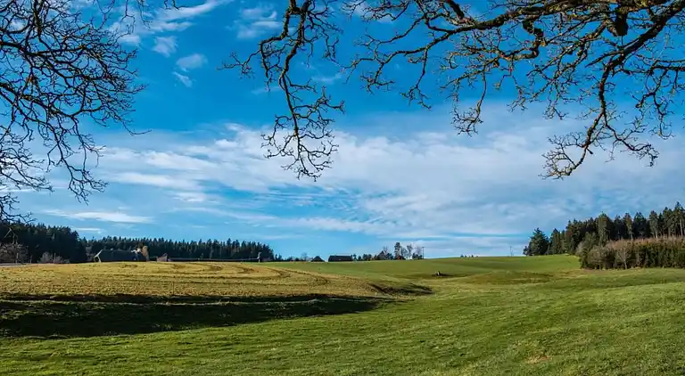 Ferienhaus in Langenschiltach