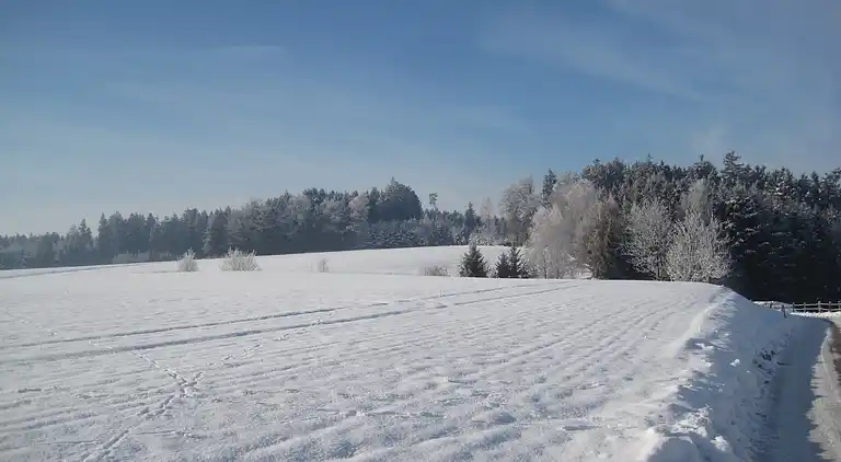 Apartment in Malching