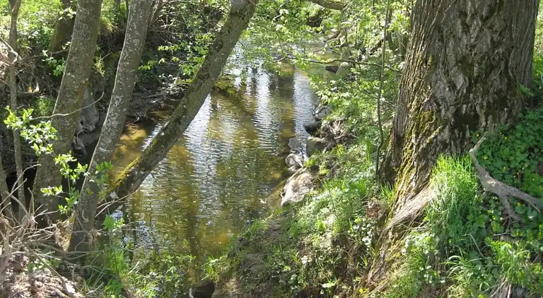 Ferielejlighed i Malching