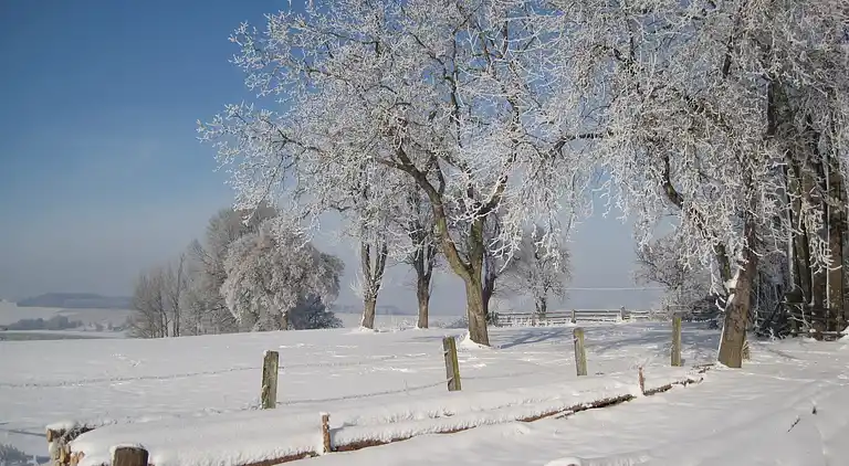 Apartment in Malching