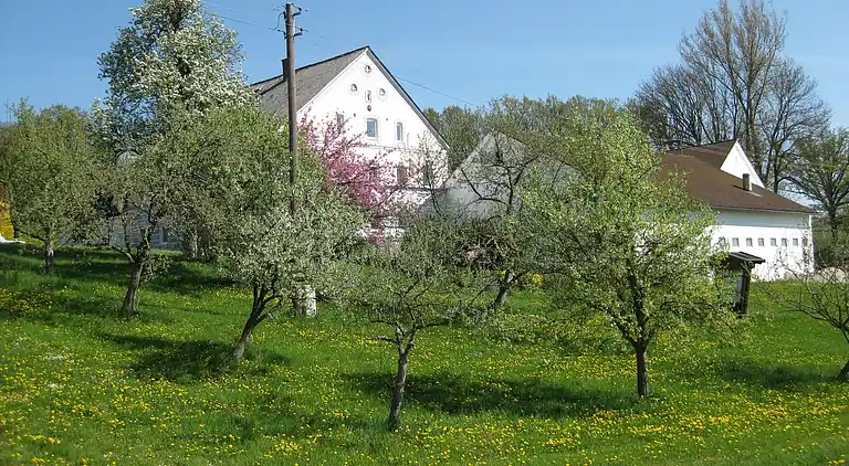 Apartment in Malching