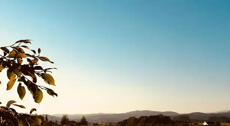 Ferielejlighed i Dorn