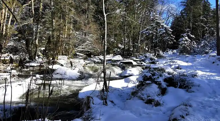 Ferielejlighed i Dorn