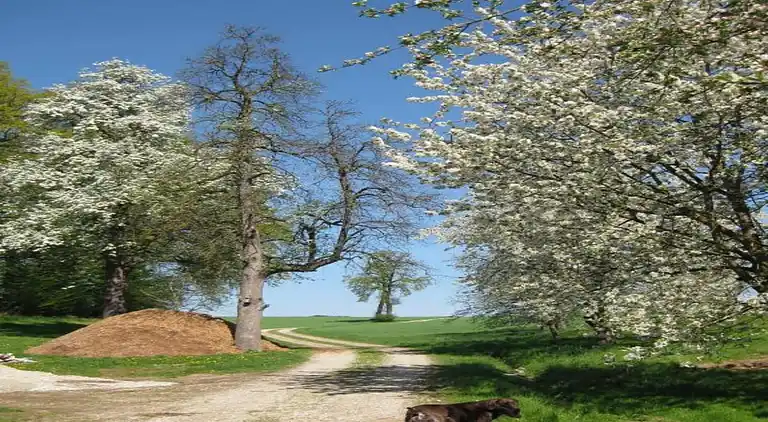 Ferielejlighed i Malching