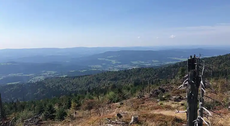 Apartment in Oberried