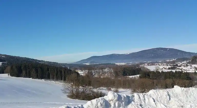 Apartment in Oberried