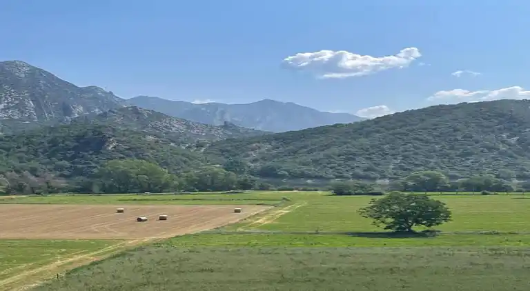 Holiday home in Odèn