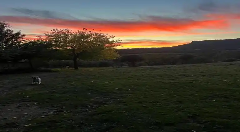 Holiday home in Odèn