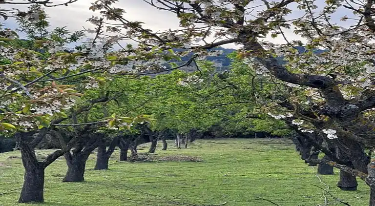 Holiday home in Odèn