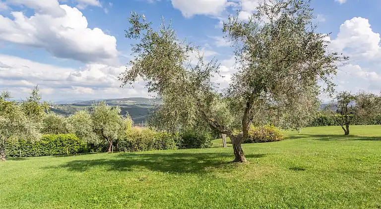 Cortijo en Barberino Tavarnelle
