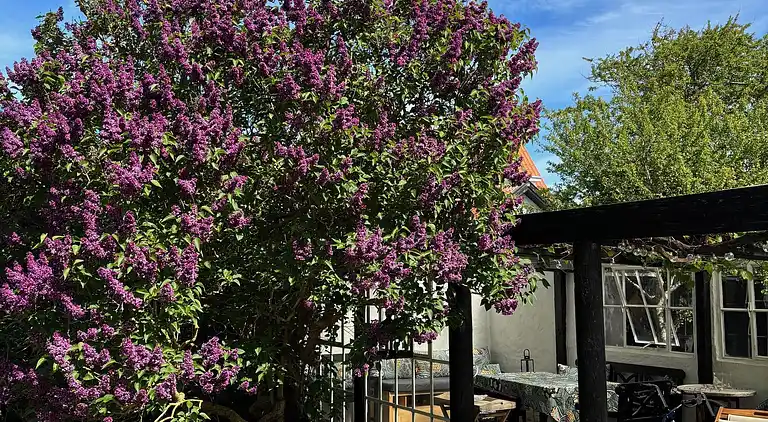 Familievenlig villa i roligt kvarter