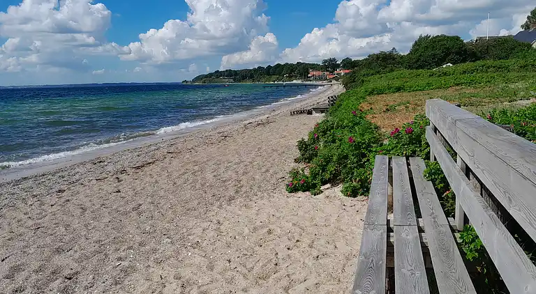 Urlaubsspaß am Strand und Haderslevs Schätze