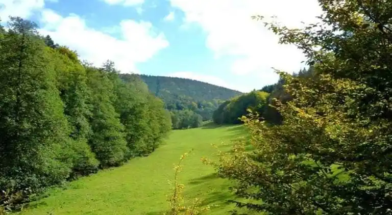 Apartment in Hüttenthal