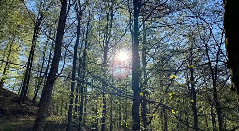 Vakantiehuis in Küstelberg