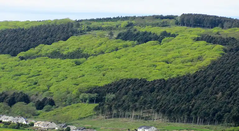 Villa in Küstelberg