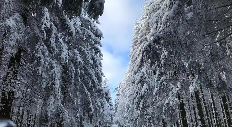 Vakantiehuis in Küstelberg