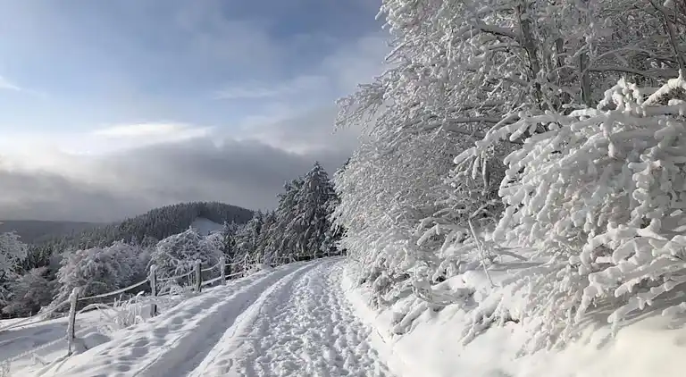 Vakantiehuis in Küstelberg