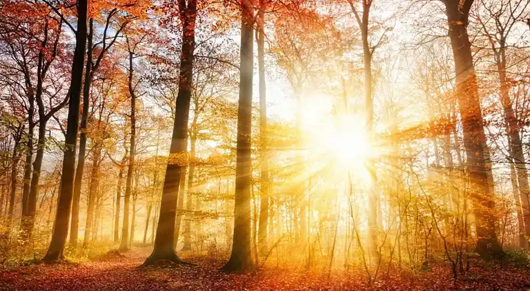 Vakantiehuis in Küstelberg