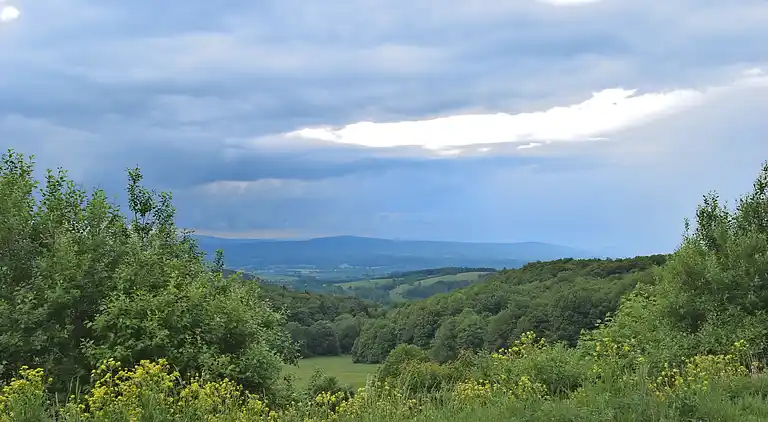 Ferienhaus in Trusetal