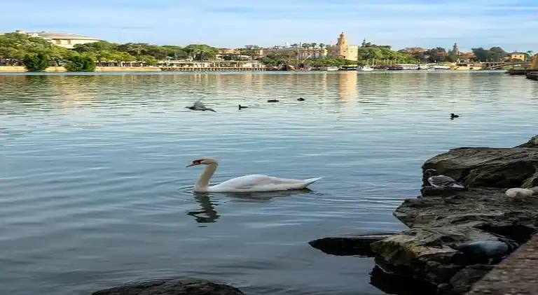 Casa de vacaciones en Sevilla