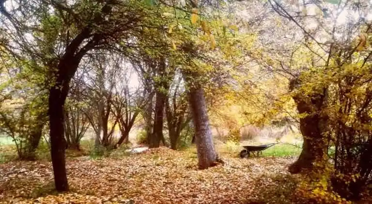 Cottage in Galapagar