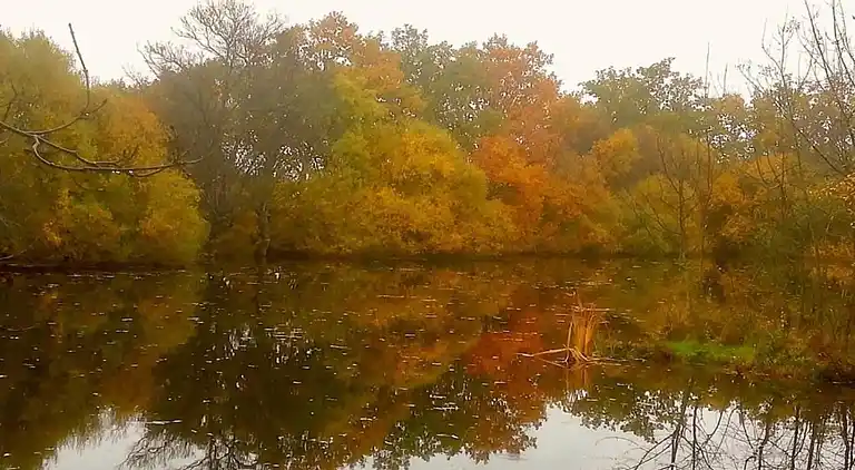 Cottage in Galapagar