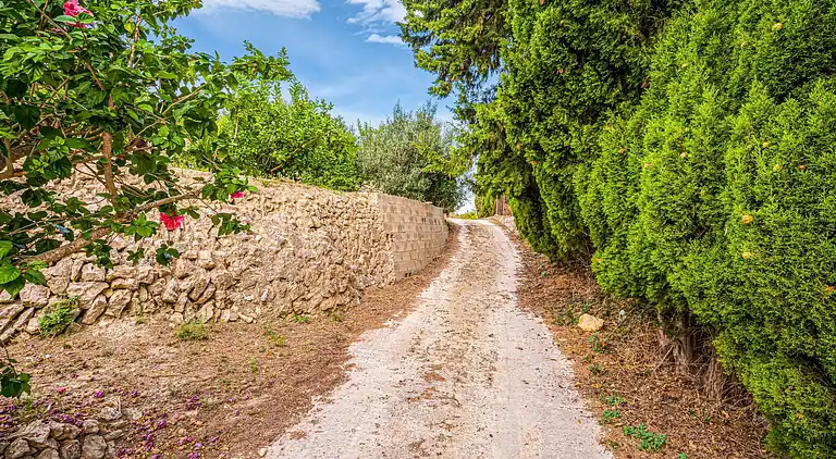 Holiday home in Callosa d'en Sarrià
