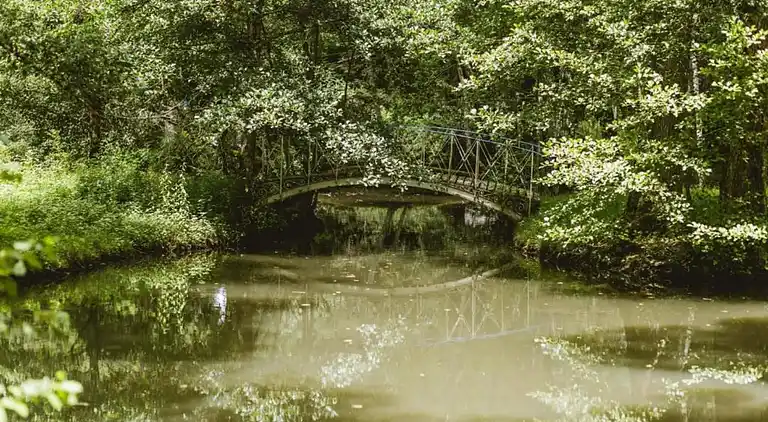 Apartment in Saint-Laurent-des-Vignes