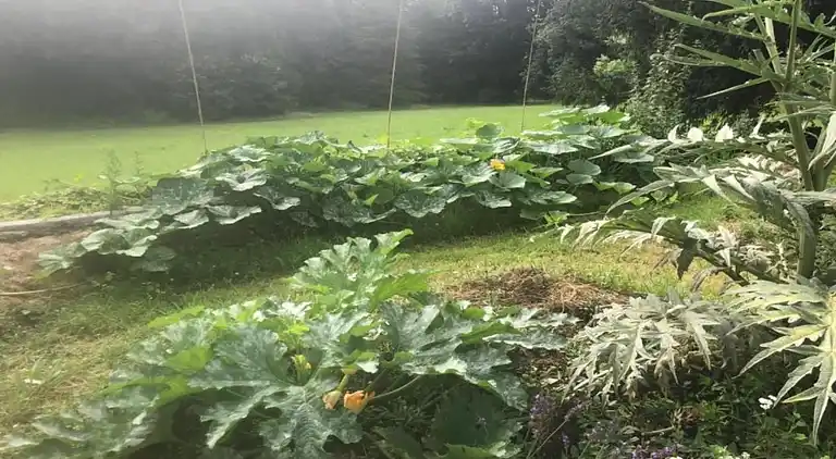 Apartment in Saint-Laurent-des-Vignes