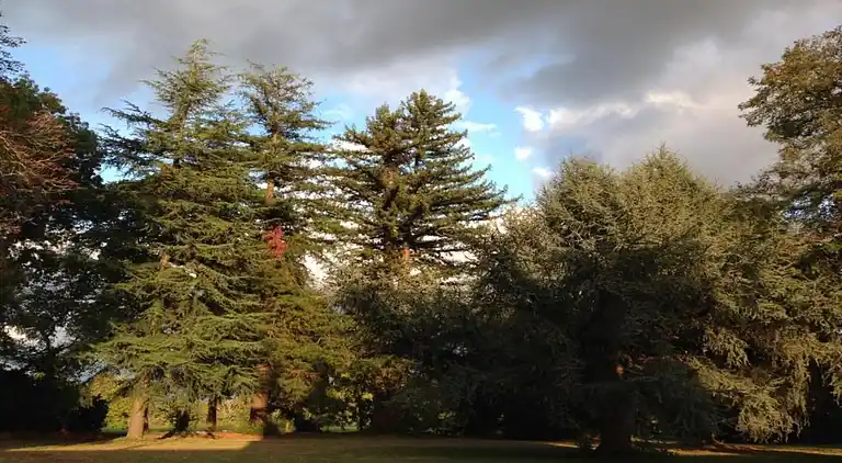 Holiday home in Bergerac